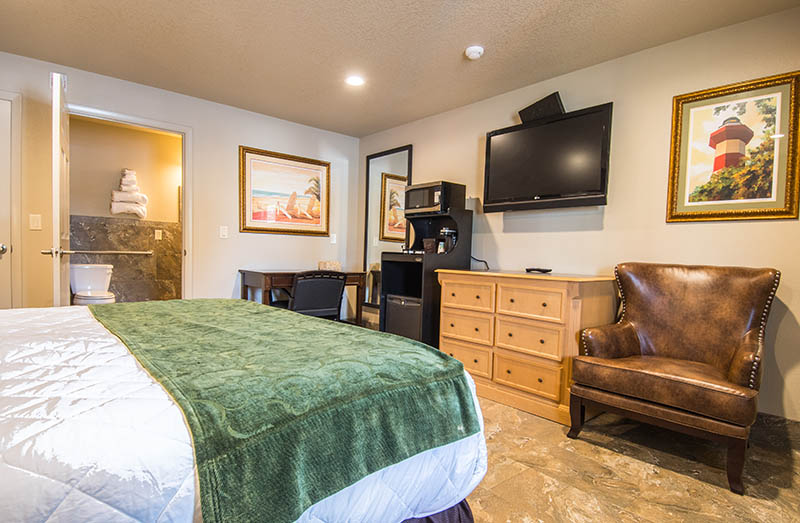 gator den_0011_TAH_5146-HDR